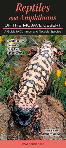 C.H.A.R.L.E.S. Goes on a Silent Retreat 4 Reptiles & Amphibians of the Mojave Desert