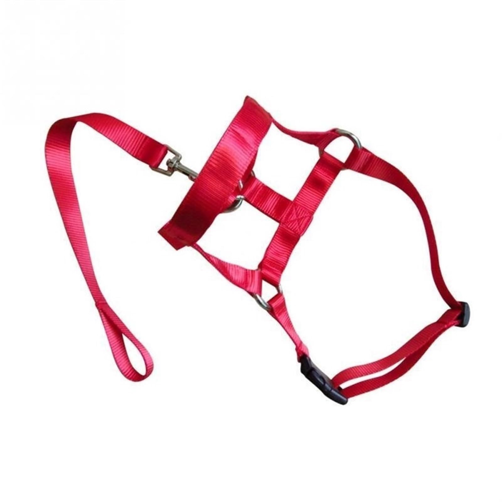 Dog Anti Bark Bite Head Leash Nylon Training Halter Collar No Pull Safe Mouth Harness Stops Pulling (Color : Red, Size : XXL)