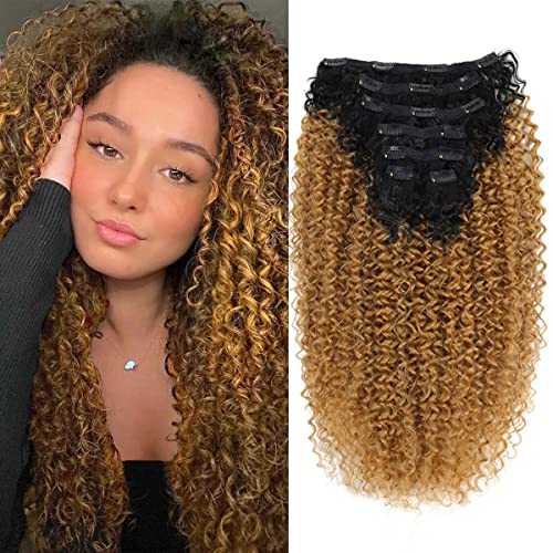 Curly Clip in Hair Extensions Clips in-Human Hair Feelings Ombre Honey Blonde Curly Hair Extensions for Black Women Jerry Hair Extensions curly hair clip in extensions(T1B/27,5.11OZ)