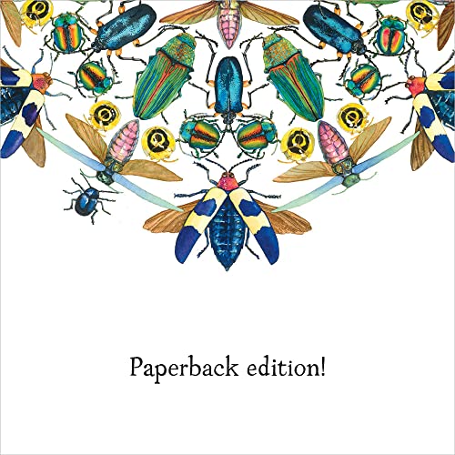 A Beetle Is Shy (Sylvia Long) - Image 4