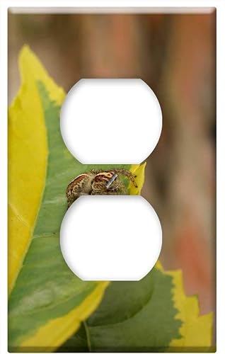 Switch Plate Outlet Cover - Nature Insects Spider Fly The Virginia Quindio 3