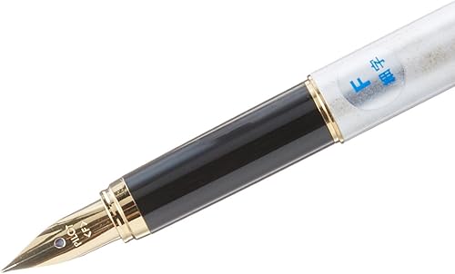 Miniatura 6 de PILOT Pluma estilográfica de mármol, negro y azul (FCAN-5SR-BL-F)