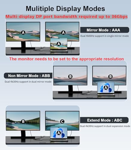 Adaptador DisplayPort a Dual DisplayPort para Monitores miniatura 6