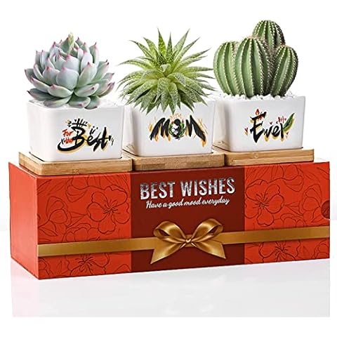Gifts for Mum,Birthday Gifts for Mum,Christmas or Birthday Gifts for Christmas,Beautiful Gifts Set for Mum from Daughter or Son,Perfect for Any Occasion and Arrive Beautifully Gift Boxed for Christmas Cover