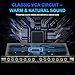 MICNAUX Audio Compressor, Professional Dual-Channel Black Dynamic Processor with Noise Gate & Sidechain Insert for Studio, Live & Streaming – 1U Rackmount, XLR/TRS Inputs