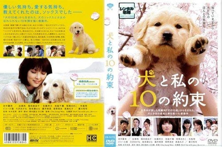 犬と私のやくそくパック 『犬と私の10の約束 プレミアム・エディション』+『や… 犬と私の10の約束 (角川つばさ文庫) | サイトウ アカリ, 霜田