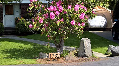 Custom Address Plaque, Rustic House Address Signs, Made Of Distressed Wood, House Numbers, Cabin Housewarming Gifts #TOP3