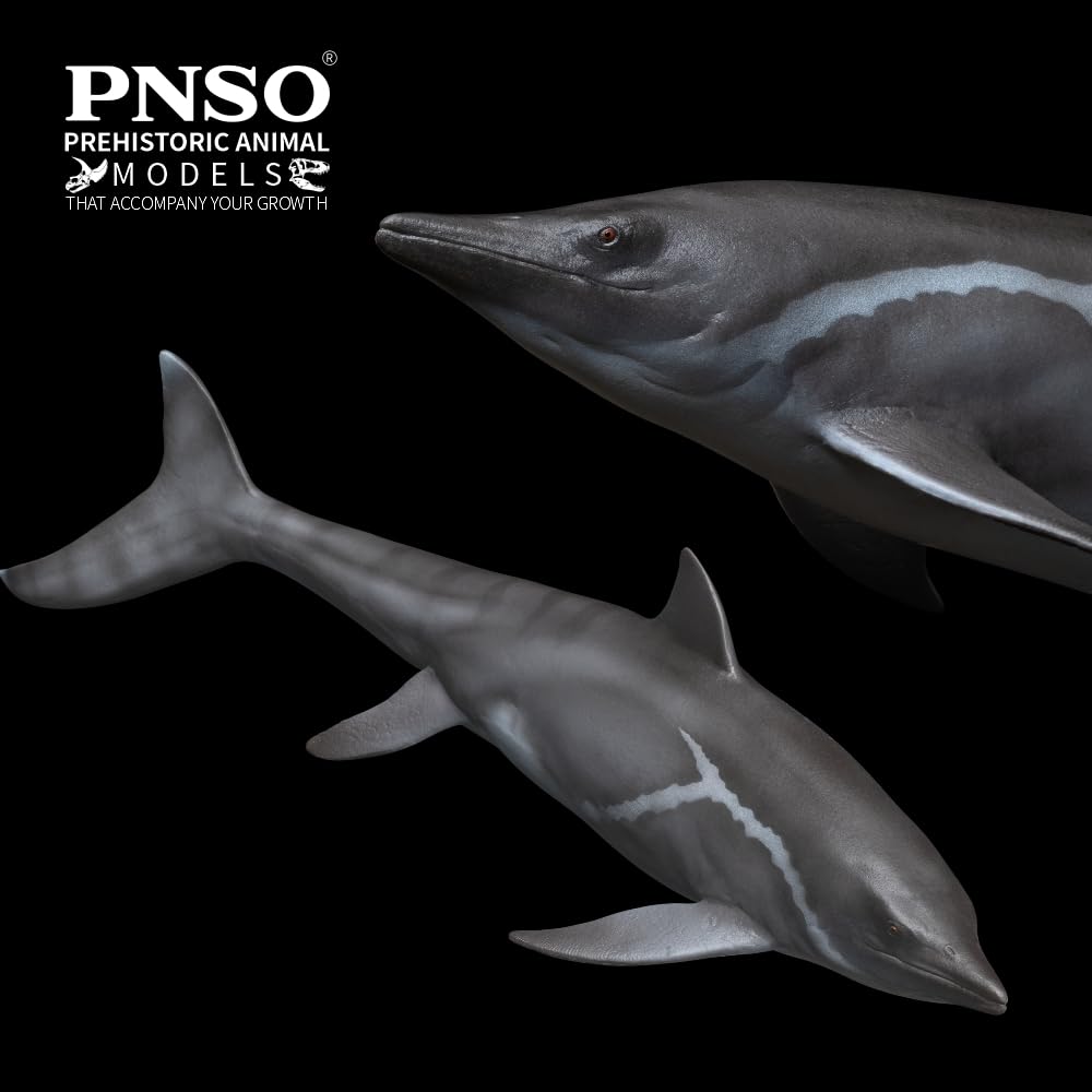 Amazon.com: PNSO Prehistoric Dinosaur Models:92 Yuanlin The