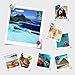 Push Pin Magnets - Tiergrade 60 Pack 7 Assorted Color Strong, Office, Use at Kitchen Home and School Classroom, for Refrigerator Dry Erase Board and Whiteboard.