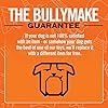 BULLYMAKE-Horseshoe-Nylon-Dog-Toy-for-Tough-Chewers-Made-in-USA BULLYMAKE Horseshoe Nylon Dog Toy