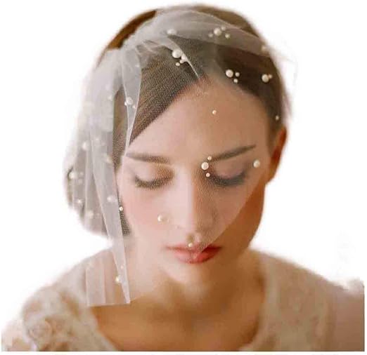 Olbye Bridal Wedding Birdcage Veil with Comb Short White Lace Veil 1T