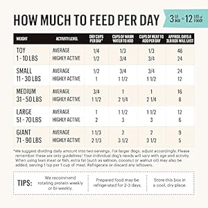   The-Honest-Kitchen-Dehydrated-Grain-Free-Fruit-Veggie-Base-Mix-Dog-Food-Just-Add-Protein-3-lb-Box