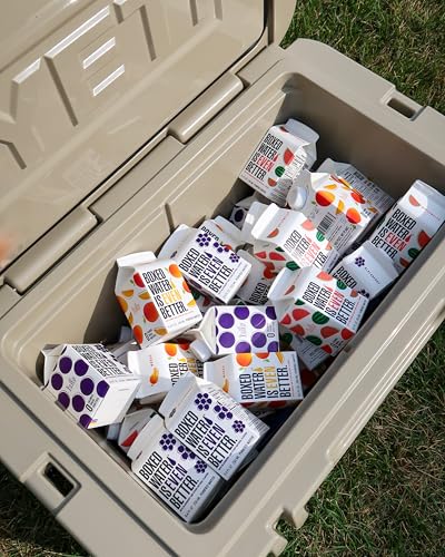 Image of Mango Boxed Water 8.5 oz. (24 Pack) - Better Than Premium Plastic, BPA-Free, Refillable Cartons, Sustainable Alternative, Mini Carton for Kids, Lunchbox Ready