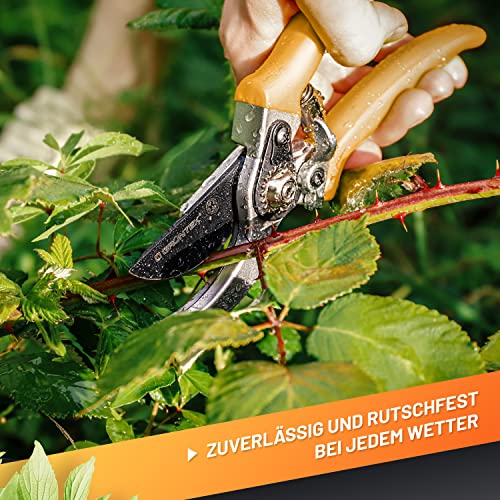 GRÜNTEK Tuinschaar fruitschaar specht 215 mm Bypass wijnschaar. Comfortabele boomplantenschaar met geldteruggarantie 90 dagen! - Afbeelding 6