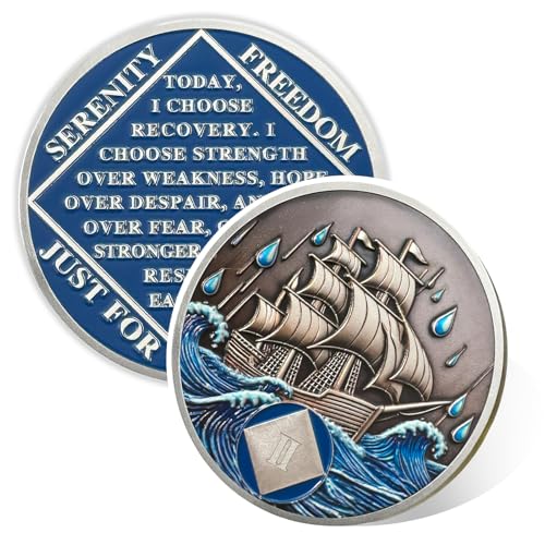 Image of Braving The Storm 2 Year Sober Coin, Nautical NA Coin, Addiction Recovery Two Year Sober Chip, Celebrating Recovery Anniversary Token, Narcotics Anonymous Sobriety Gifts for Men Women