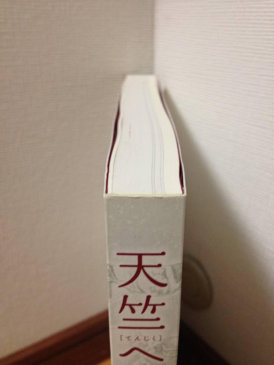 Amazon.co.jp: 図録 天竺へ 三蔵法師3万キロの旅 奈良国立博物館 玄奘
