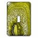 3dRose lsp_266900_1 Luxury Green Marble Agate Gem Mineral Stone Toggle Switch, Multicolor