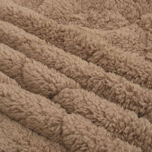 Couette d'été légère lavable en microfibre douce toute l'année