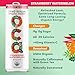 OCA ZERO Strawberry Watermelon, Organic energy drink, zero sugar, gluten-free, vegan plant-based, 12 Fl Oz (12-pack)