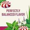 Celestial Seasonings Peppermint Herbal Tea, Caffeine Free, 20 Tea Bags Box (Pack of 6)