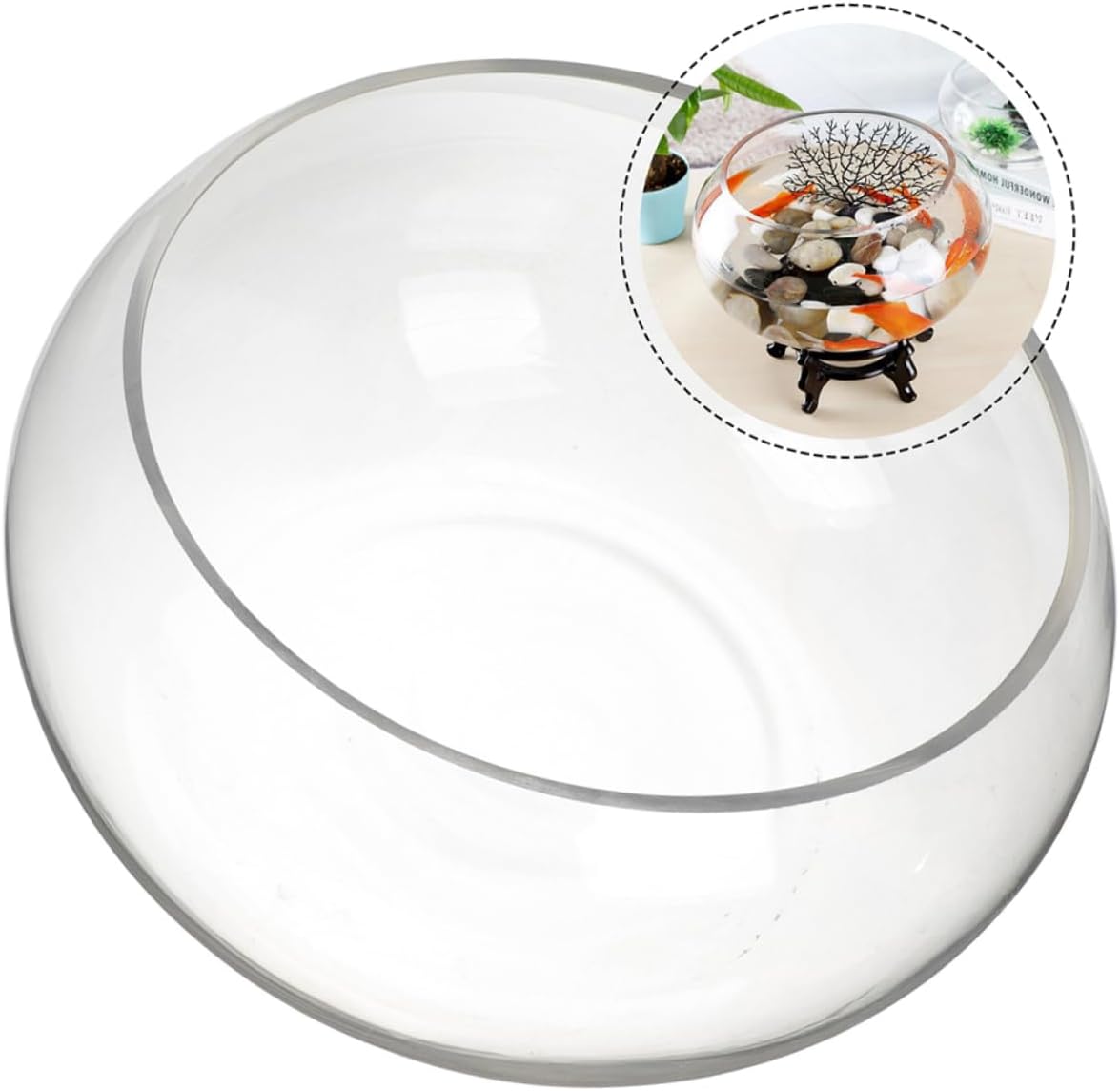 POPETPOP Desktop Fish Bowl Round Glass Aquarium for Plants and for Decor Multi-Functional Terrarium for Shrimp Turtle