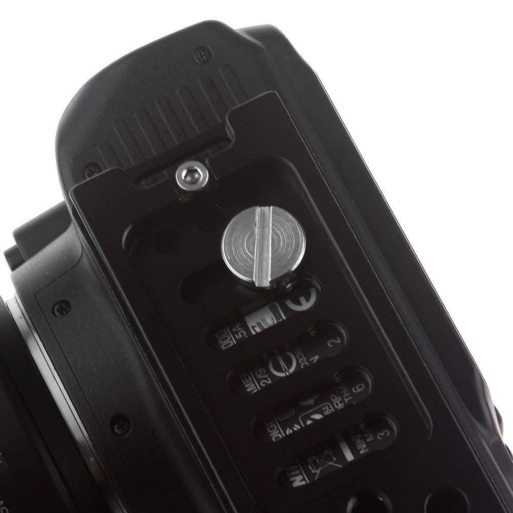 Kit 5 Viti Con D-Ring Da 3/8″ – Attacco Rapido Per Fotocamere, Treppiedi E Gabbie, Acciaio Inossidabile, Con Slot Per Cacciavite