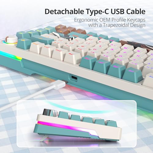 Teclado Gamer 75% Brown iRoboosta USB-C miniatura 4