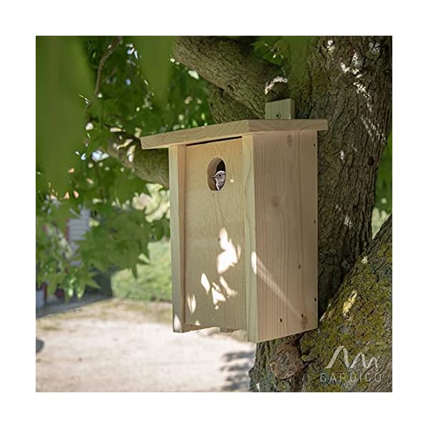 GARDIGO® Nistkasten für Gartenrotschwanz I Made in Germany, aus deutschem Holz, Vogelhaus, verschraubt, unbehandelt und… – Bild 7