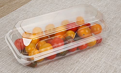 Golden Apple, Clear Plastic Square Hinged Food Container, 5