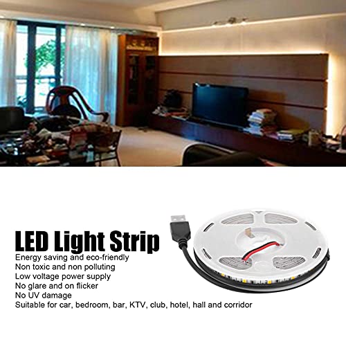 Tira de luces LED FTVOGUE 5 m luz blanca cálida miniatura 2