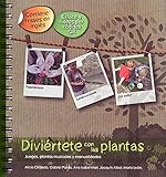 Centro del Libro de Aragón