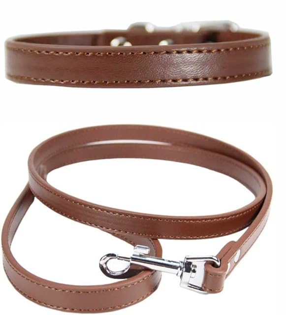 Foto 2 de 3 de Juego combinado de collar y correa de cuero vibrante para cachorros, perros pequeños
