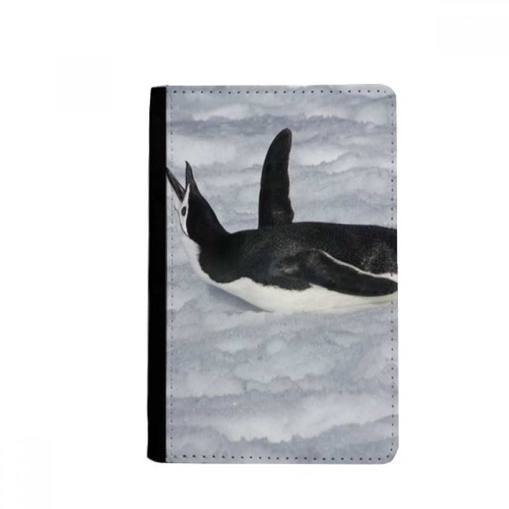 DIYthinker Water Black Antarctic Penguin Picture Passport Holder Notecase Burse Wallet Cover Card Purse