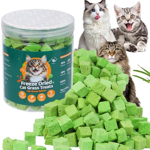 SuPruida 100g Freeze-Dried Cat Grass Treats, Natural Hairball Treatment for Cats, Edible Cats Chew Toy Cat Treats Snack for Teething Cleaning Hairball Removal