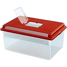 GEO FLAT SMALL Container for small animals, fishes, turtles and insects