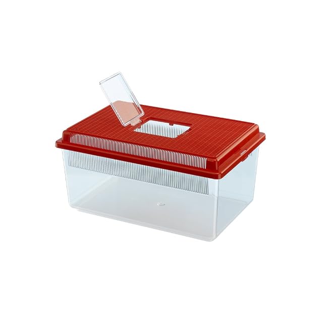Ferplast Acuario de plástico para Peces Geo Flat pequeño Tanque de 4 L, Animales pequeños, terrario, Insectos