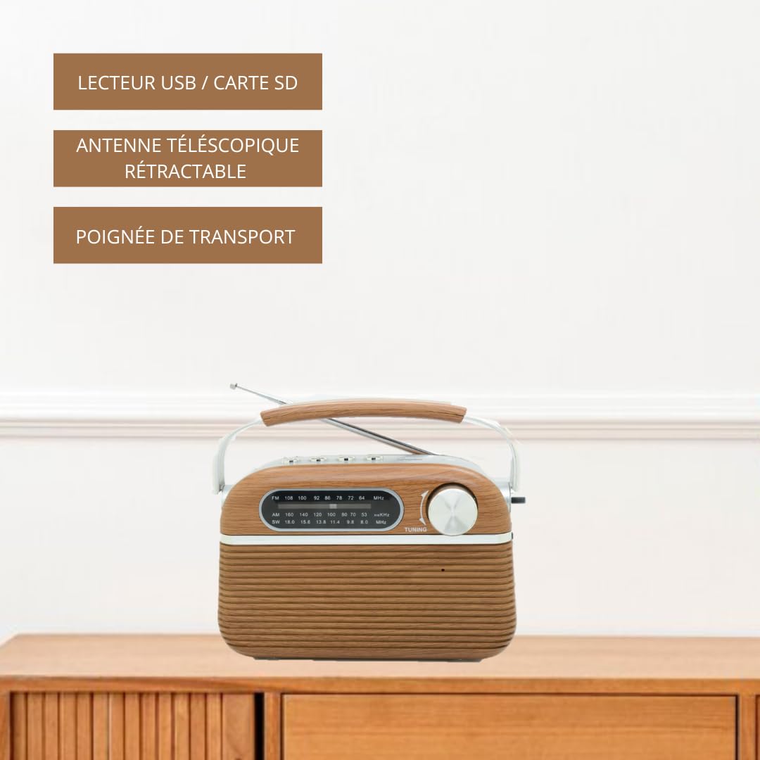 HALTERREGO Radio Vintage Grandes Ondes Aspect Bois, AM/FM/SW Lecteur USB/Carte Micro SD Prise Secteur ou Pile (Non Incluse)