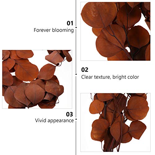 Cabilock Folhas de eucalipto artificiais artificiais artificiais guirlanda de eucalipto secas, haste