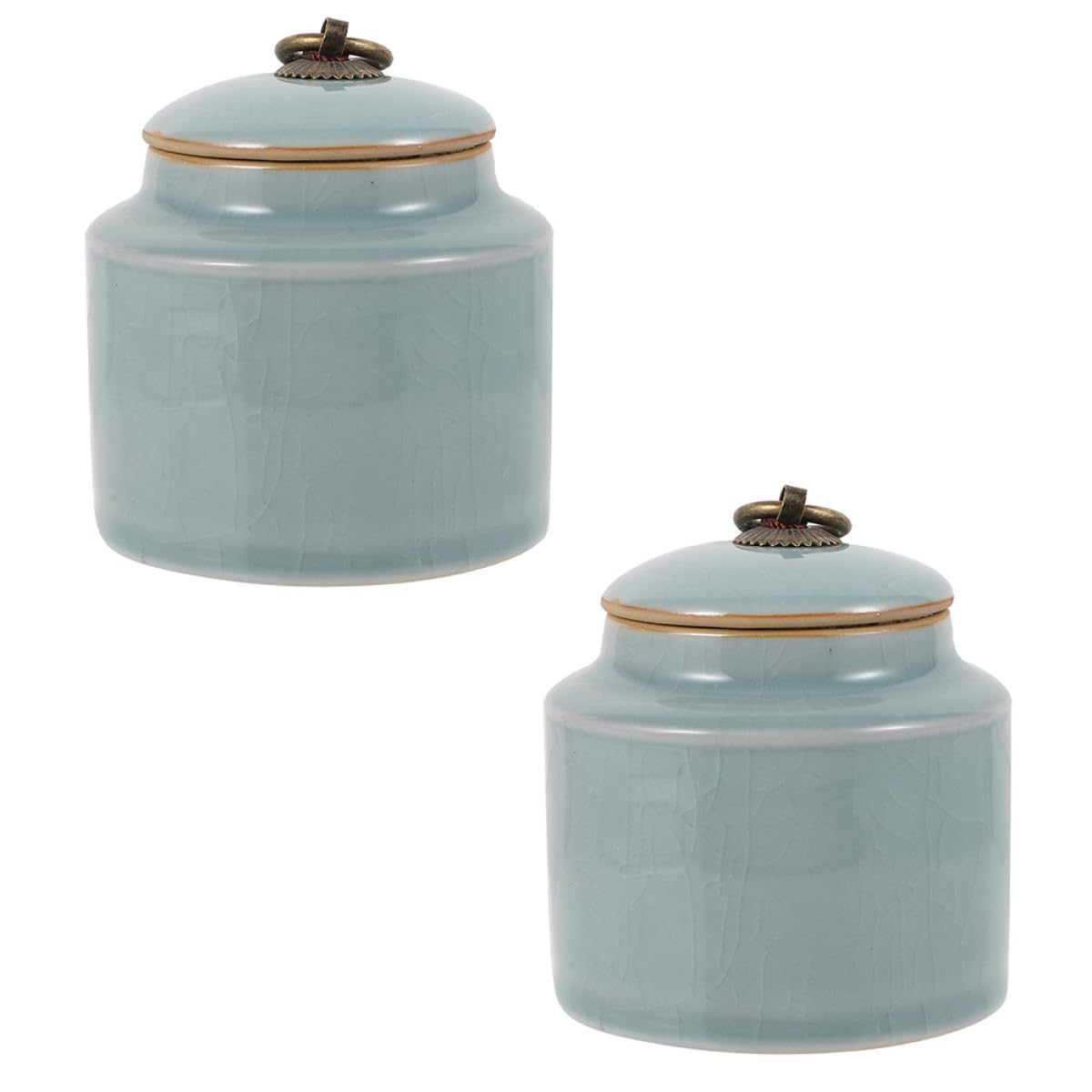 jojofuny Barattoli per la Conservazione in Ceramica Sigillati 2 Pezzi Contenitori per Tè e Alimenti Secchi Design Elegante per Cucina Barattoli Decorativi Adatti a Casa Hotel e