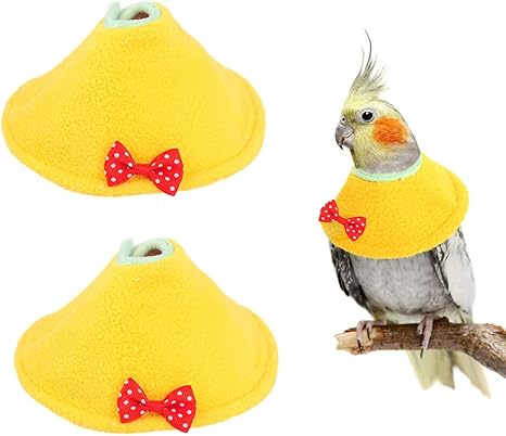 Cone collar lovebird Clearance