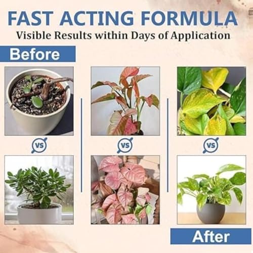 Image of 100% Natural Fertilizer Sticks, Magic Stick Plant Food for Indoor & Outdoor Plants, natural fertilizer for Home Garden Plants | Plant Growth Booster Healthy (40pcs-Plant-stick+100ml booster)