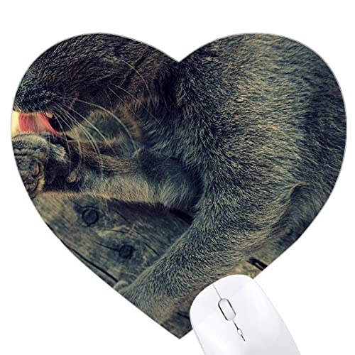 Tapis de souris chat gris photo en forme de cœur pour votre bureau maison