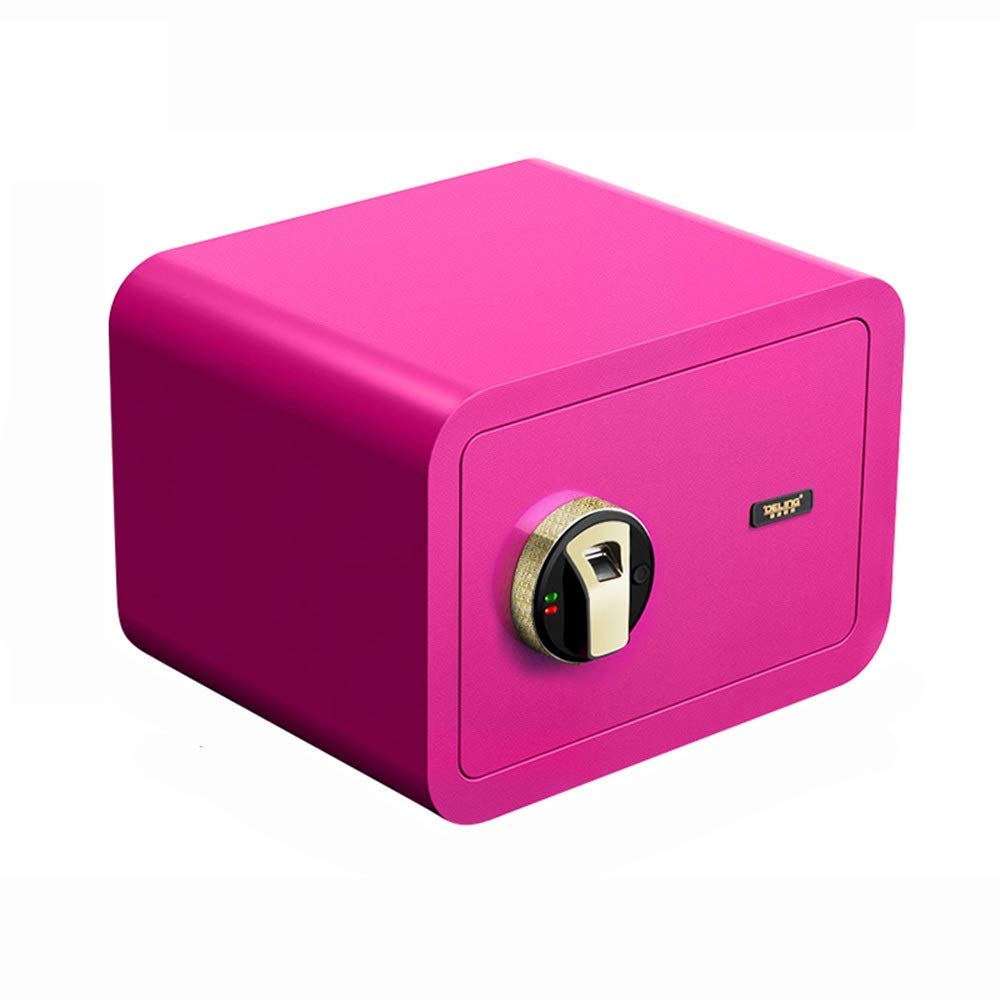 Coffre-fort à empreinte digitale CLSDRZC de 25cm avec clavier invisible