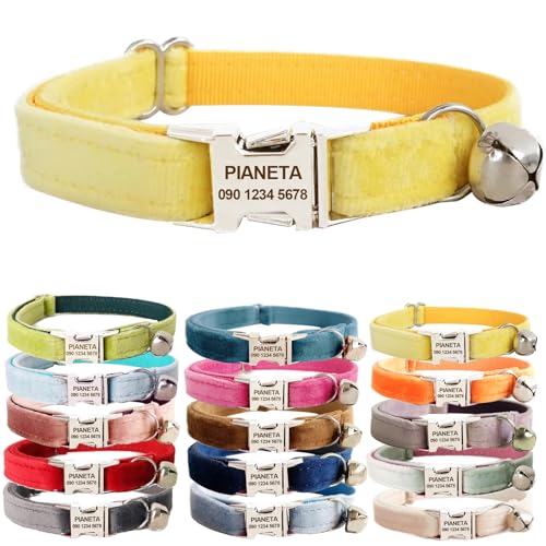 PIANETA L  t O聕dbԍ qDt q JX^}CY ybg ID L^ɓKp (CG[, L (20-32cm))