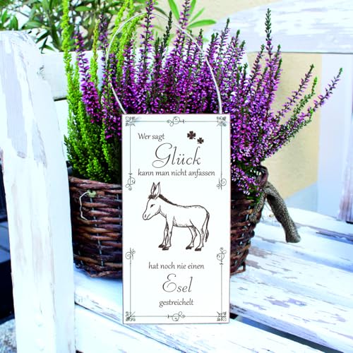 Dekolando Panneau âne porte-bonheur qu'on caresse – Inscription en allemand avec motif animal – Plaque décorative vintage avec motifs d'animaux – 10 x 20 cm – vue 2