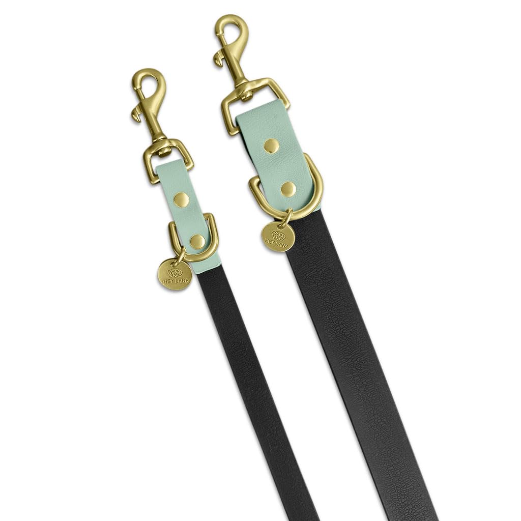 Correa para perros al aire libre, 2 mosquetones y 3 posiciones ajustables, correa para perros, correa de entrenamiento, correa de entrenamiento (negro/menta, M-L (230 cm de largo, 2,5 cm de