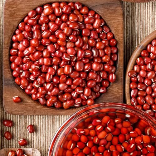 semillas orgánicas de frijol azuki semillas de plantas de interior exóticas semillas de frijol rojo semillas de hortalizas variedades antiguas Plantas de jardín perennes resistentes 125pcs