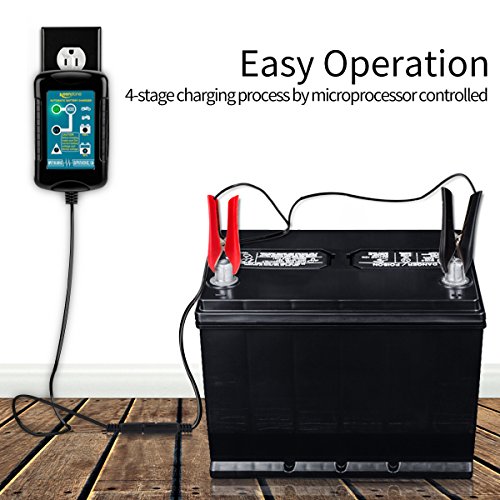 Keenstone - Caricabatteria e Mantenitore di Carica...