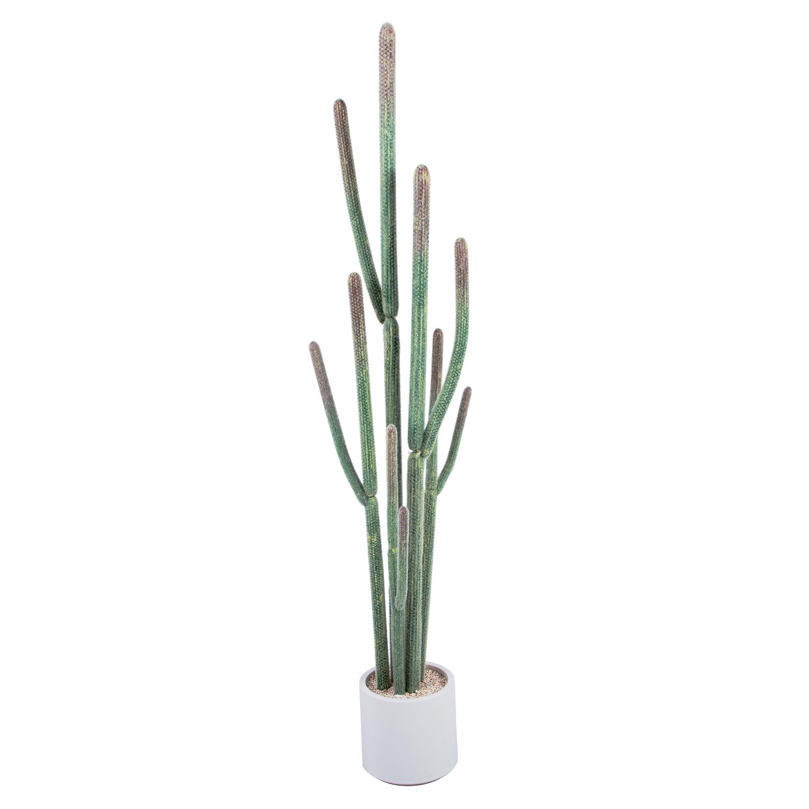 Nafresh Tall Faux Cactus Plant，62in Realistic Texture Tall Fake Plant, Artificial Cactus Large with White Planter Indoor Outdoor for Home Office