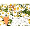 Babo Botanicals Sensitive Baby Fragrance-Free 2-in-1 Bubble Bath & Wash - Shea Butter, Calendula & Oat - Vegan - EWG Verified - For Babies & Kids